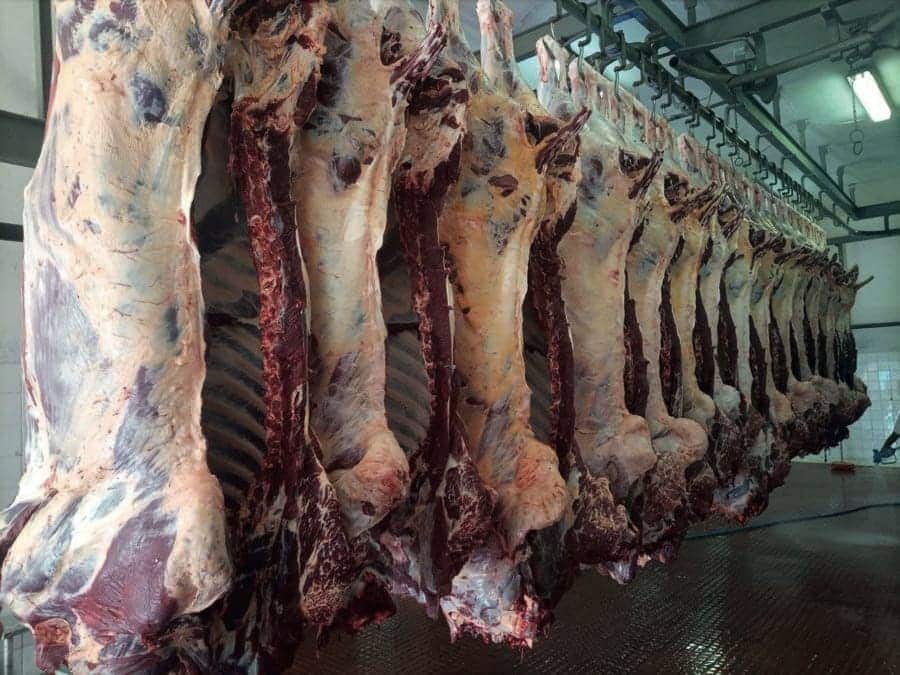 Ethio Agri-CEFT PLC – Meat products 4 2